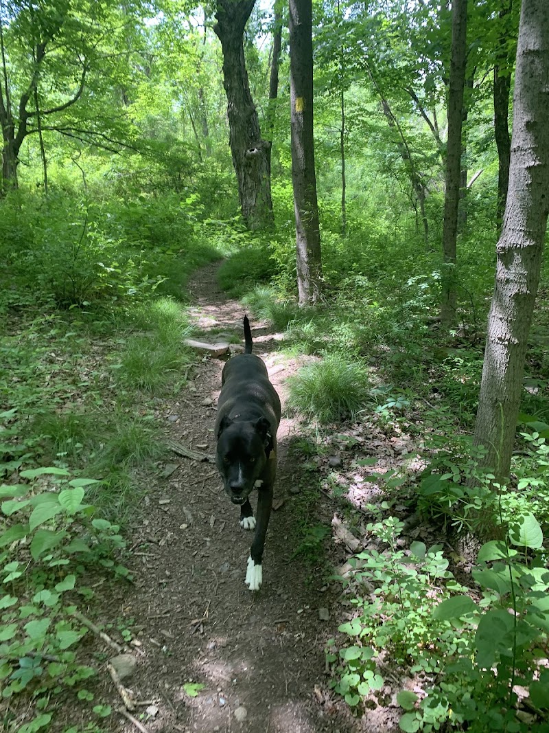 Wildcat Trailhead - Rockaway Township, NJ