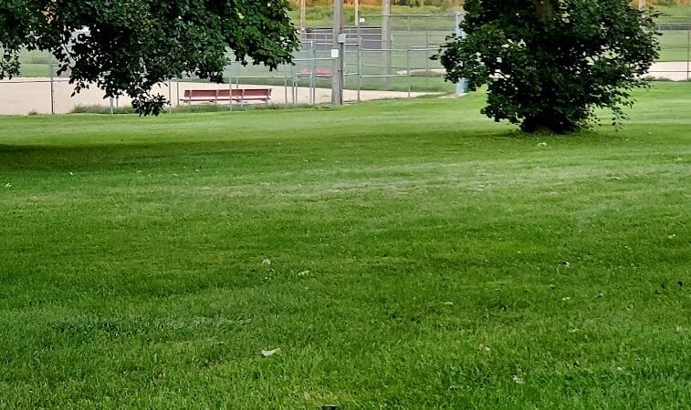 Searls Park - Rockford, IL