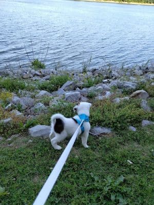 Rocky Side Park