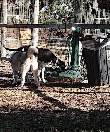 Rockport Dog Park - Rockport, TX