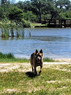 Rockport Dog Park - Rockport, TX