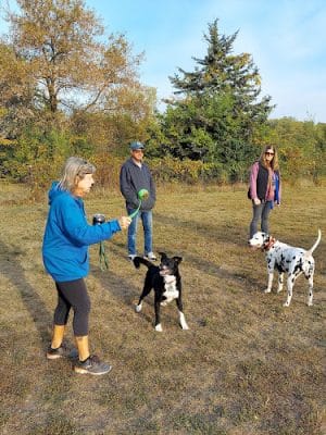 Barkwood Dog Park