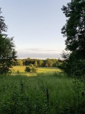 Barkwood Dog Park