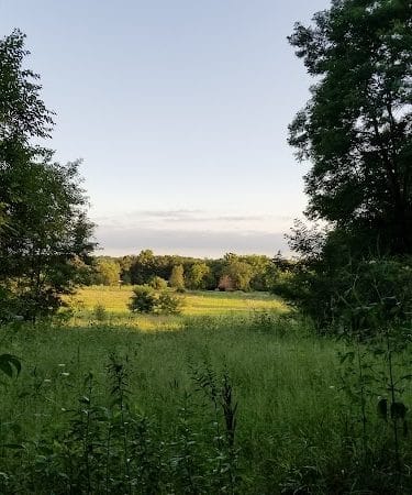 Barkwood Dog Park