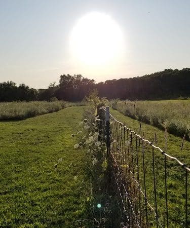 Barkwood Dog Park