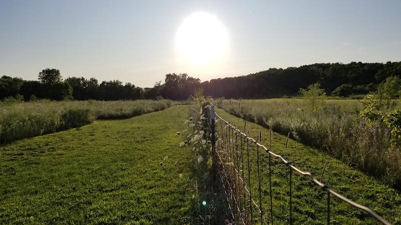 Barkwood Dog Park - Rockton, IL