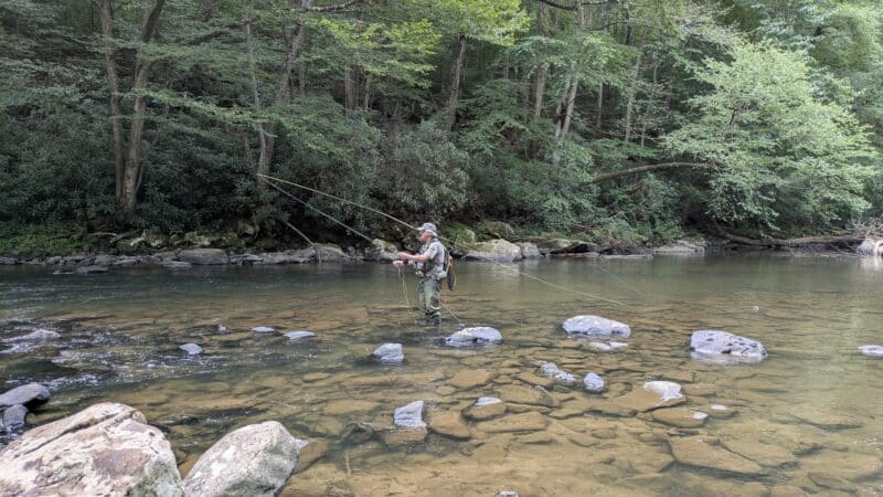 Laurel Ridge State Park - Rockwood, PA