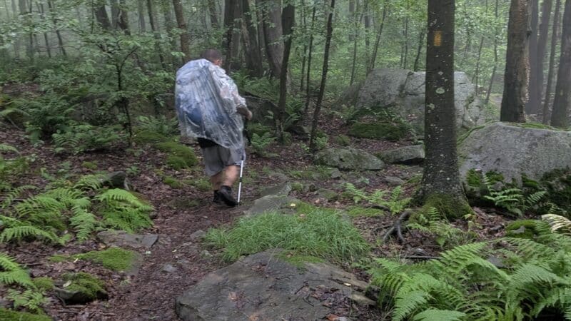 Laurel Ridge State Park - Rockwood, PA