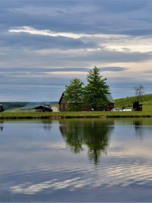 Hickory Hollow Campground