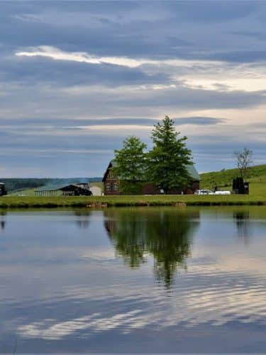 Hickory Hollow Campground