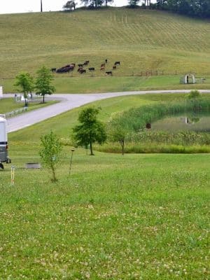 Hickory Hollow Campground