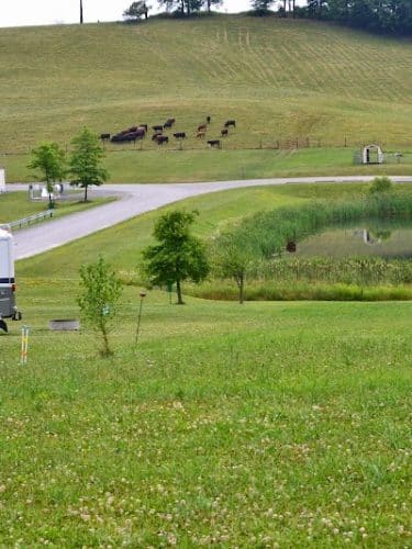 Hickory Hollow Campground