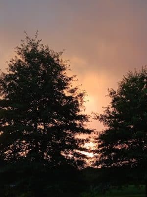 Hickory Hollow Campground