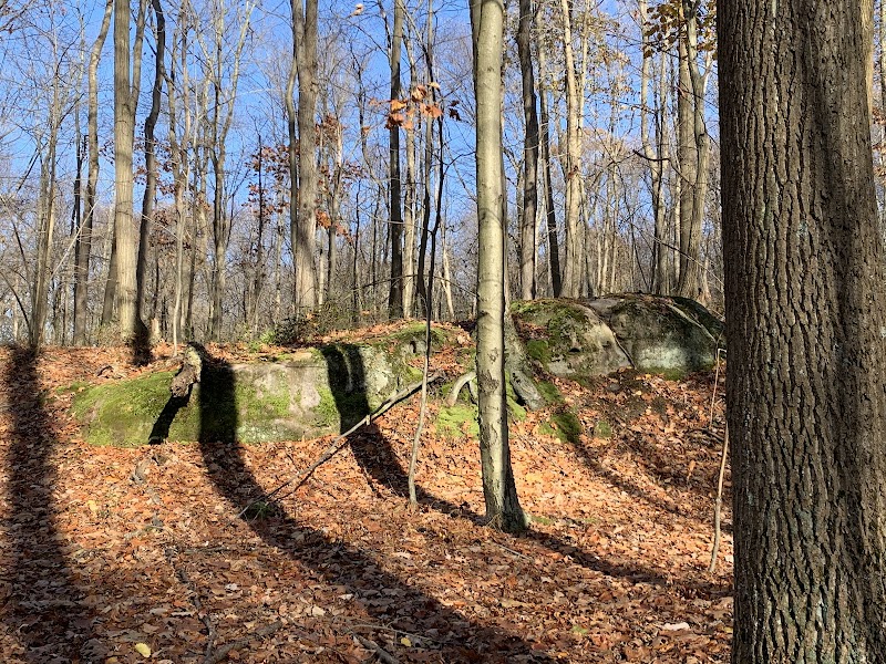 Laurel Ridge State Park - Rockwood, PA