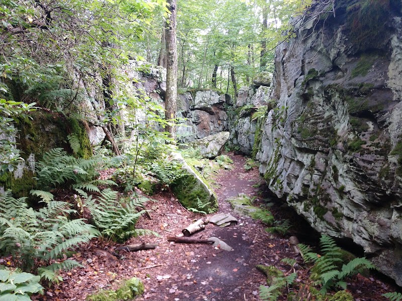 Laurel Ridge State Park - Rockwood, PA