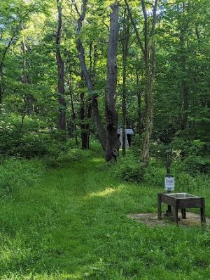 Laurel Ridge State Park - Rockwood, PA