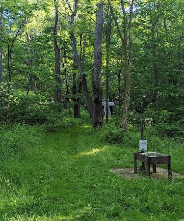 Laurel Ridge State Park - Rockwood, PA
