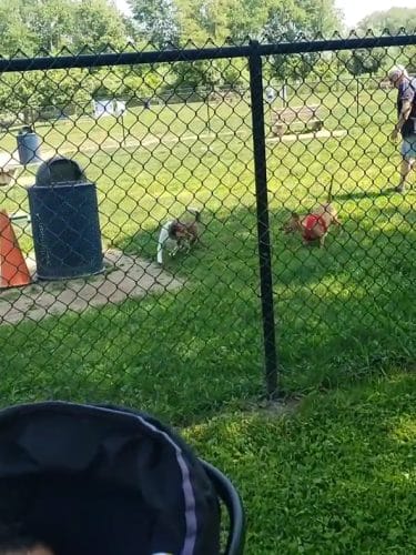 Rocky Hill Dog Park