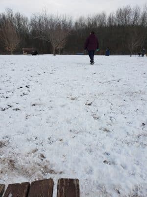 Rocky Hill Dog Park