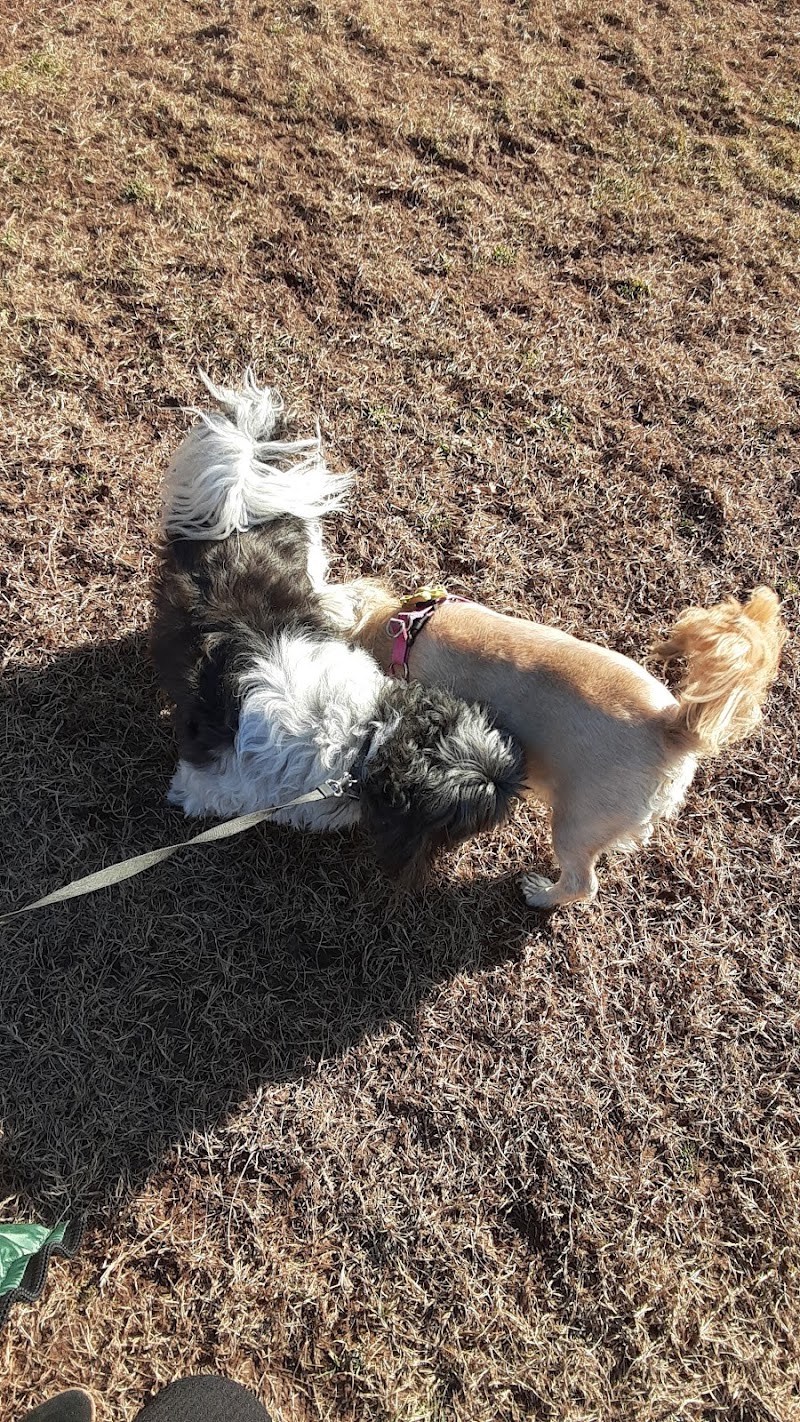 Rocky Hill Dog Park - Rocky Hill, CT