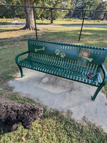Best Friend's Dog Park