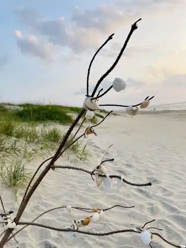 Salvo Day Area Outer Banks
