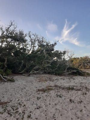 Salvo Day Area Outer Banks