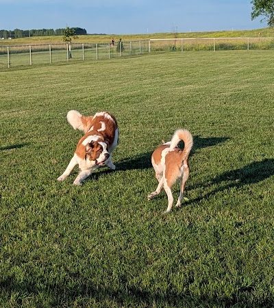 Roseau Dog Park - Roseau, MN