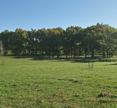 Chatfield Garden - Roselle, NJ