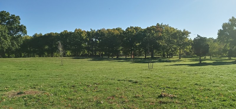 Chatfield Garden - Roselle, NJ