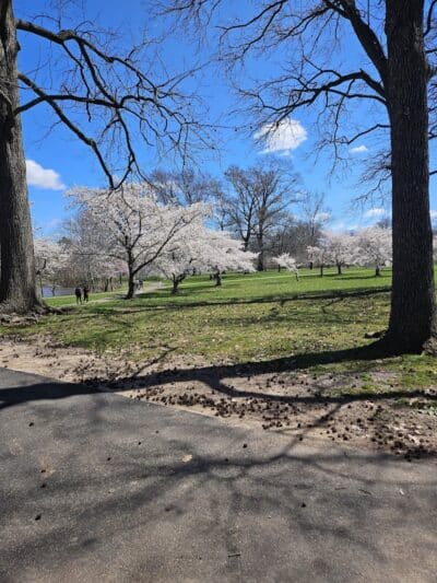 Warinanco Park - Roselle, NJ