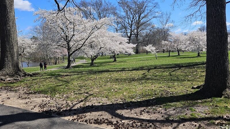 Warinanco Park - Roselle, NJ