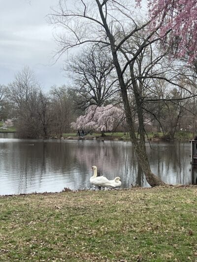 Warinanco Park - Roselle, NJ