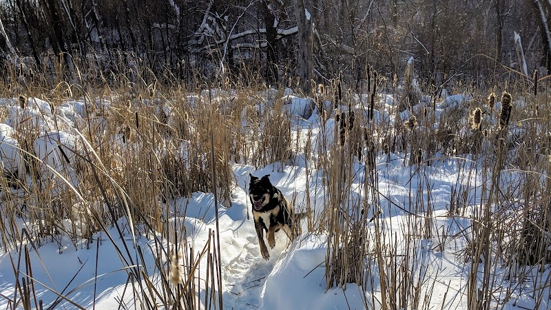 Woodview Off-Leash Dog Area - Roseville, MN