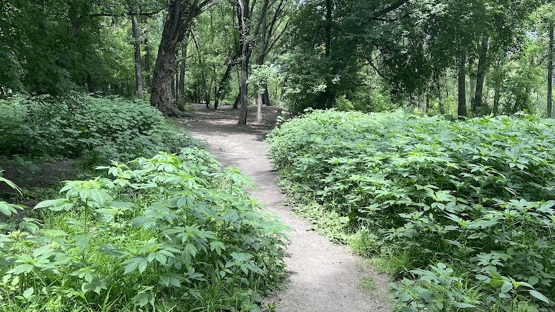 Woodview Off-Leash Dog Area - Roseville, MN