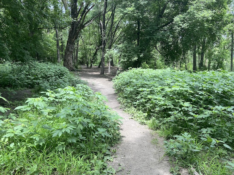 Woodview Off-Leash Dog Area - Roseville, MN