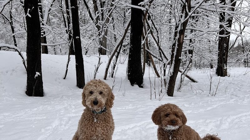 Woodview Off-Leash Dog Area - Roseville, MN