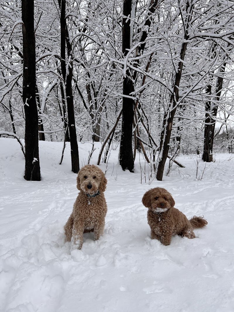 Woodview Off-Leash Dog Area - Roseville, MN