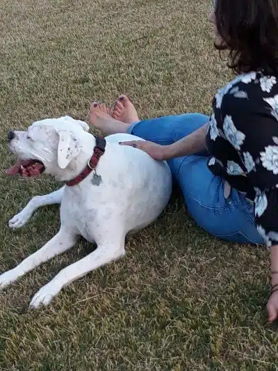 Scentral Dog Park - Rowlett, TX
