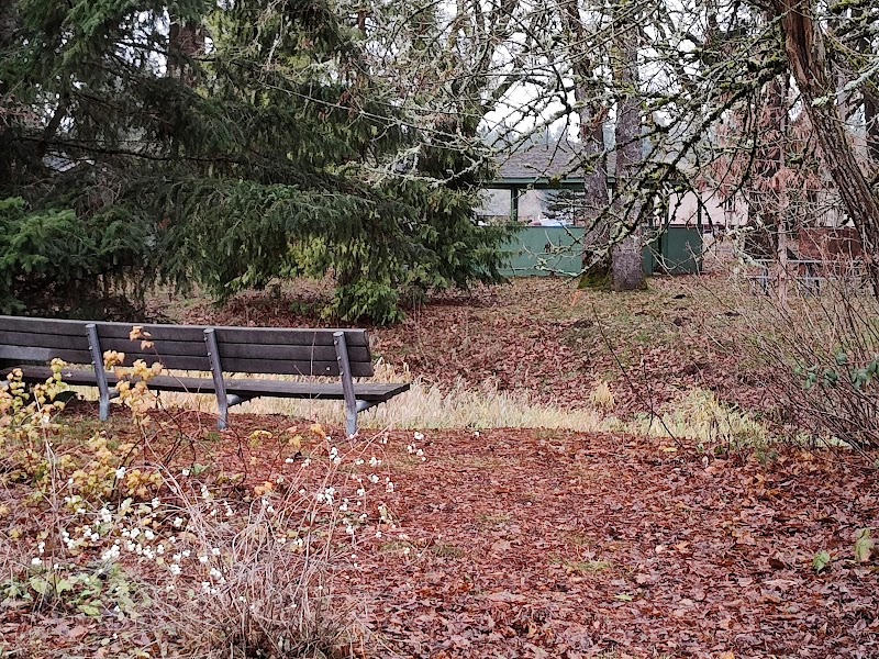Roy City Park - Roy, WA