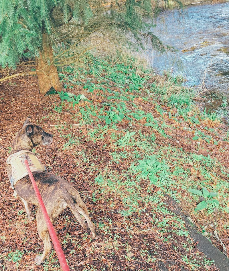 Roy City Park - Roy, WA