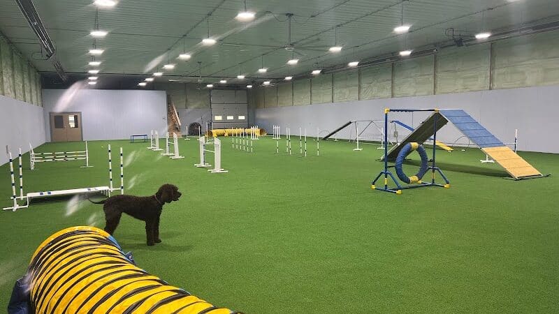 Dogs On The Run Training Club - Rushville, MO