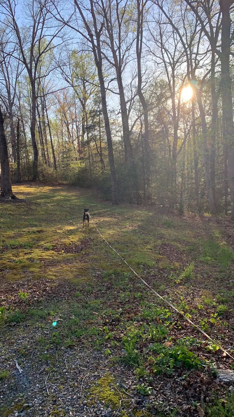 Carolina Canines (sniffspot private dog park rental with hiking and creek access)