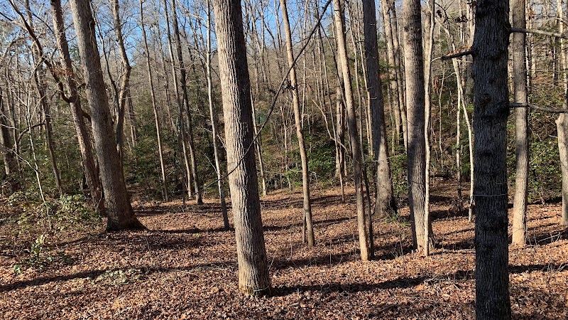 Carolina Canines (sniffspot private dog park rental with hiking and creek access)