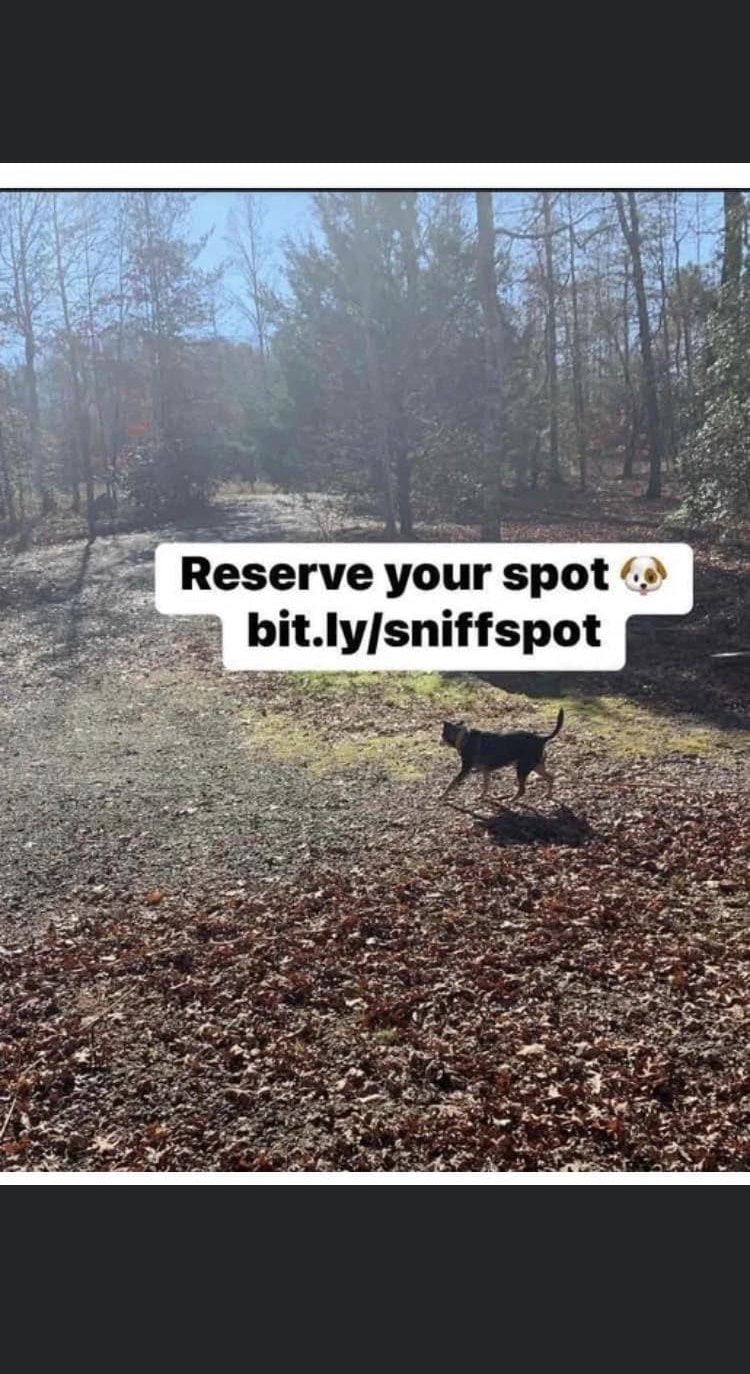 Carolina Canines (sniffspot private dog park rental with hiking and creek access)