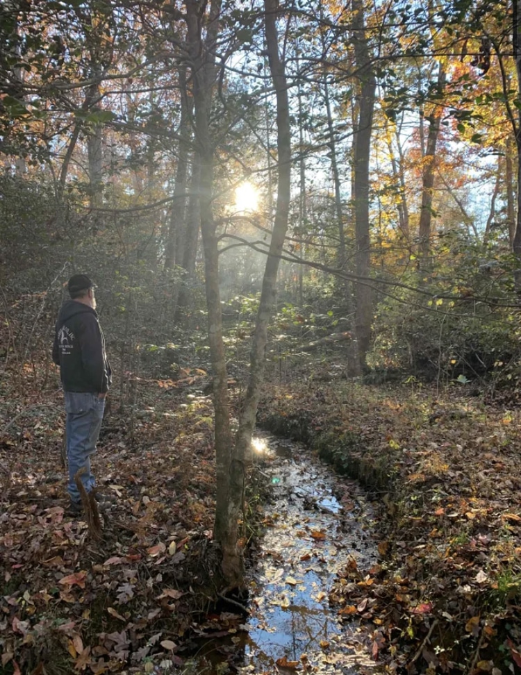 Carolina Canines (sniffspot private dog park rental with hiking and creek access)