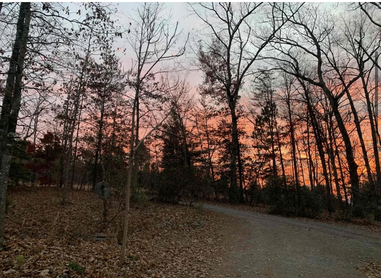 Carolina Canines (sniffspot private dog park rental with hiking and creek access)