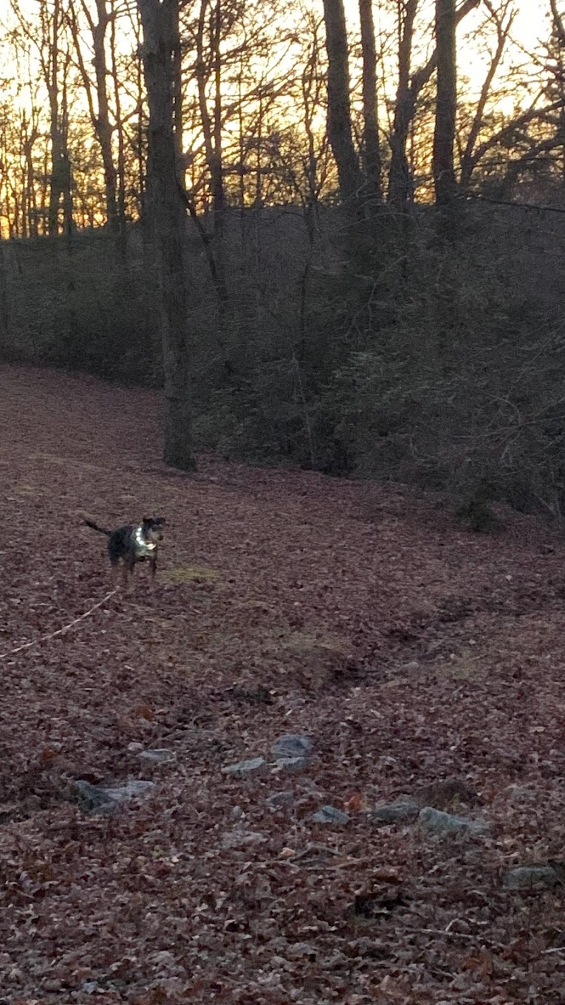 Carolina Canines (sniffspot private dog park rental with hiking and creek access)