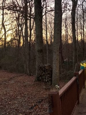 Carolina Canines (sniffspot private dog park rental with hiking and creek access)