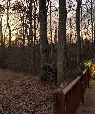 Carolina Canines (sniffspot private dog park rental with hiking and creek access)